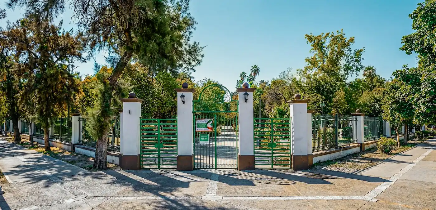 Vegetación cerca de Departamentos del Bosque en Torreón