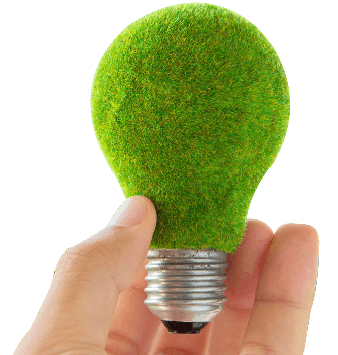 Foco y ecotecnologias
